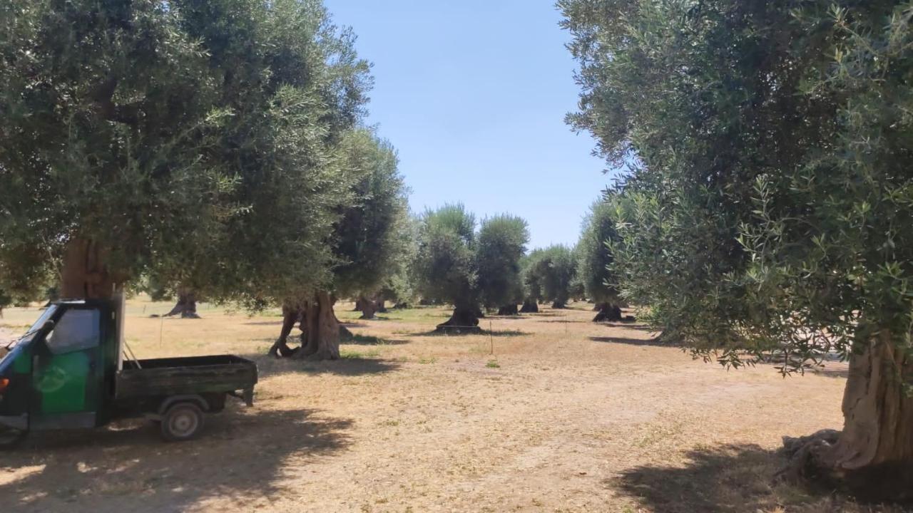 Ych-Le Grotte Di Sileno Bed & Breakfast Castellaneta Eksteriør bilde